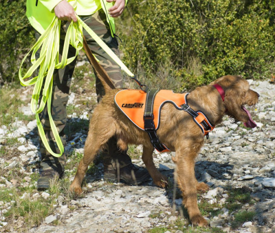 Harnais chien de signalisation Canihunt Taille M