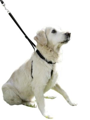 Harnais pour chiens Maxi Leader 25-30 cm